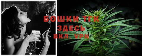 прущие грибы Абинск