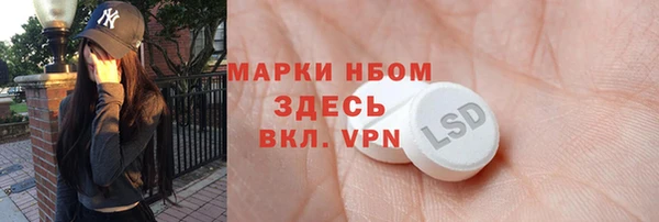 гидра Покачи