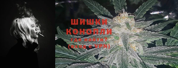 гидра Покачи