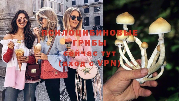 гидра Покачи